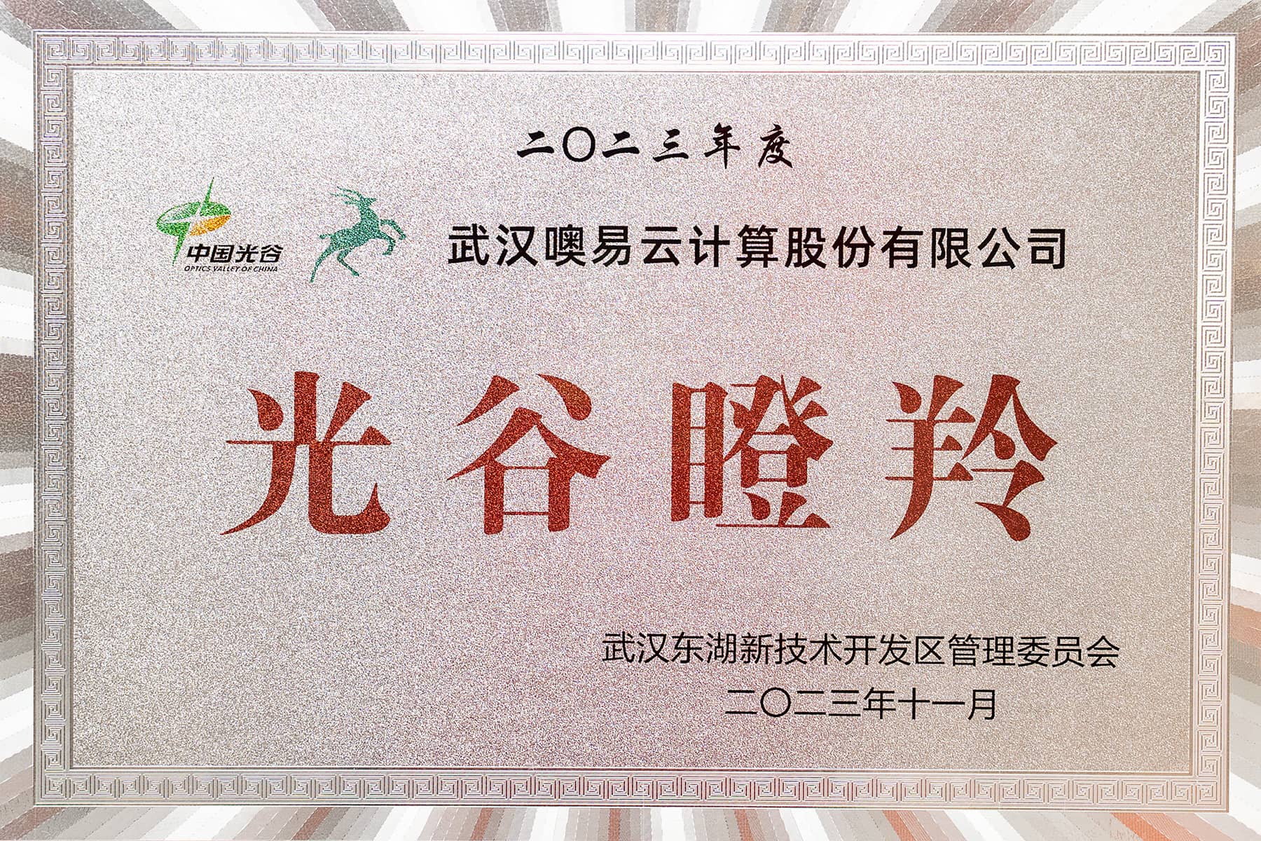 连续八年光谷瞪羚企业(2016-2023)