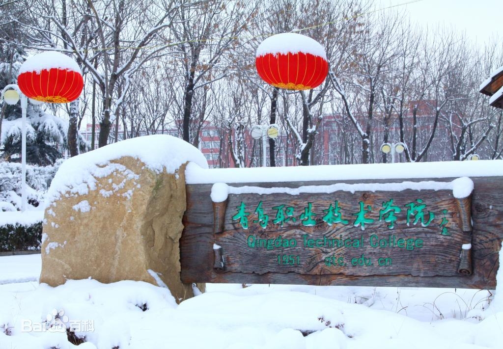 青岛职业技术学院